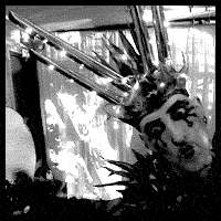 link to view Stonewall Village Community Center party video